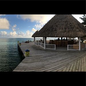 Meet your Posher, Tara